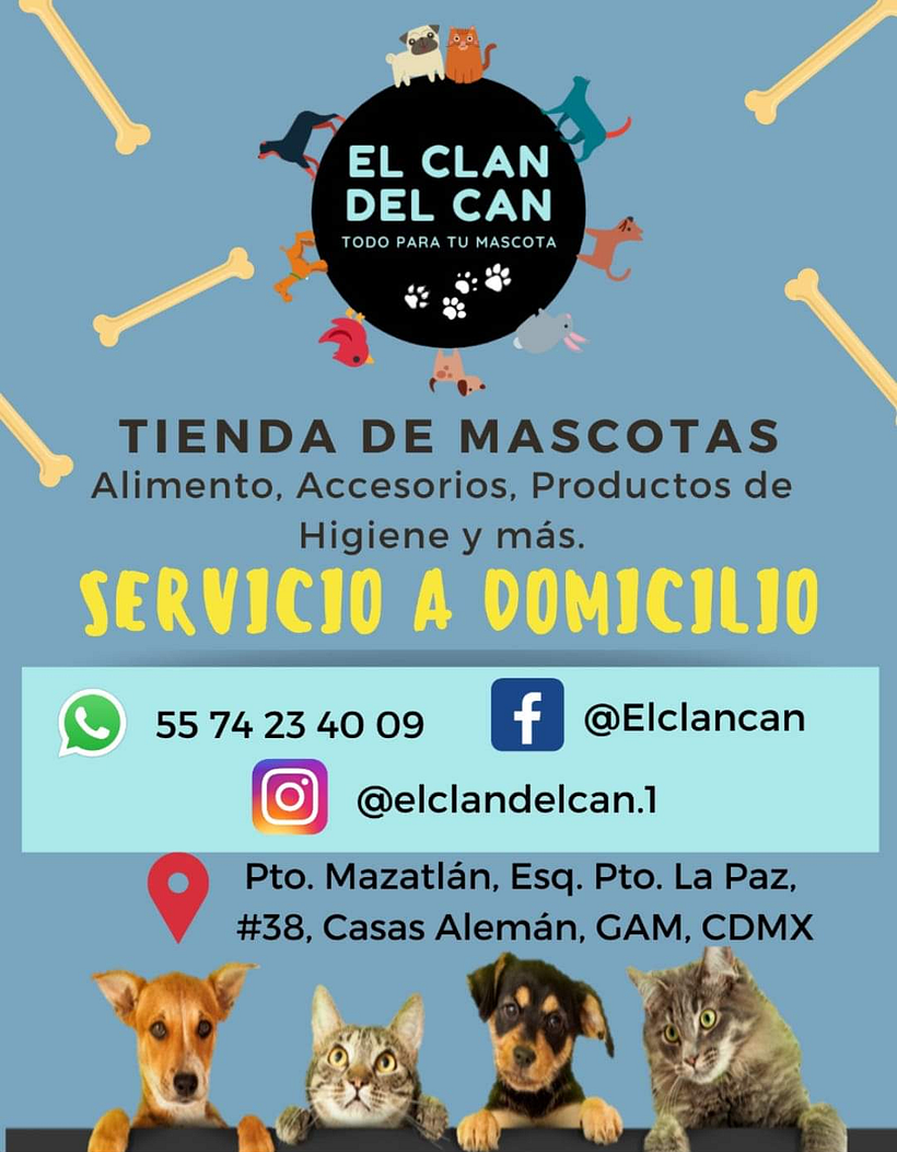 El clan del can, tienda de mascotas. 7
