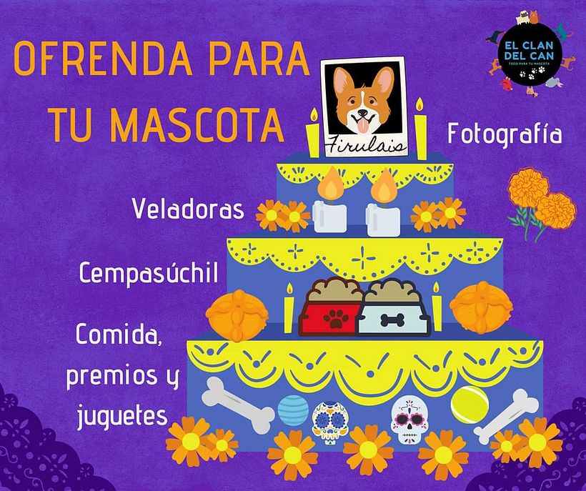 El clan del can, tienda de mascotas. 8