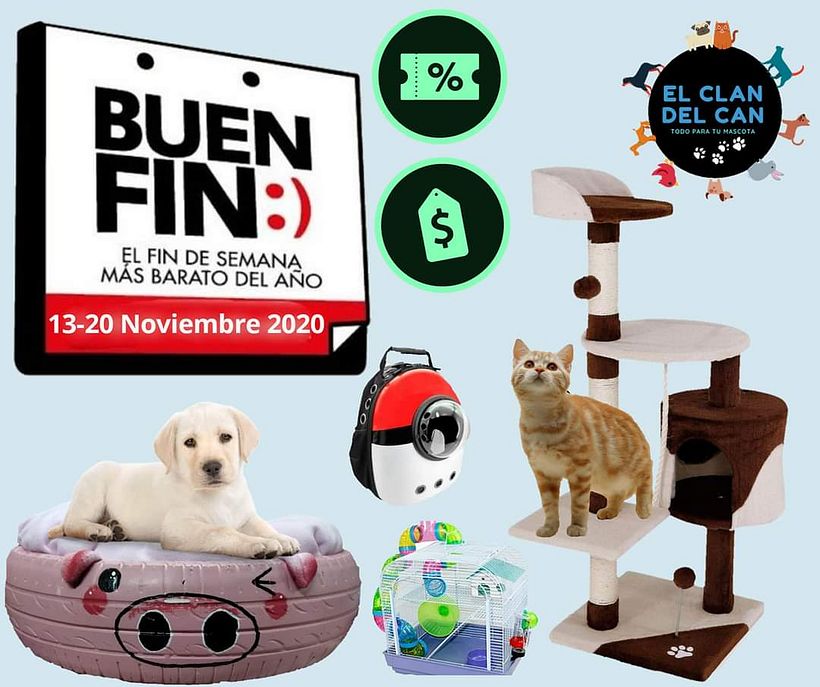 El clan del can, tienda de mascotas. 9