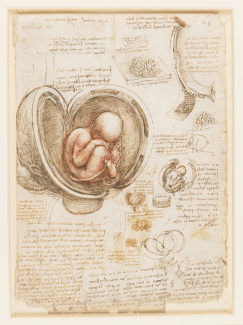 Anatomical drawing by Leonardo Da Vinci.