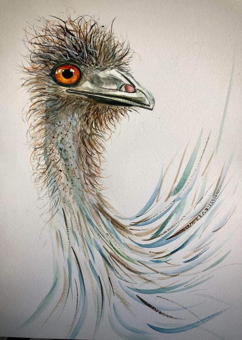 Errol  the Emu