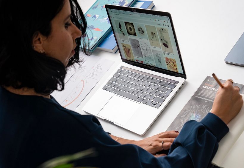 En su curso de Domestika, Federica nos revela las posibilidades de la visualización de datos.