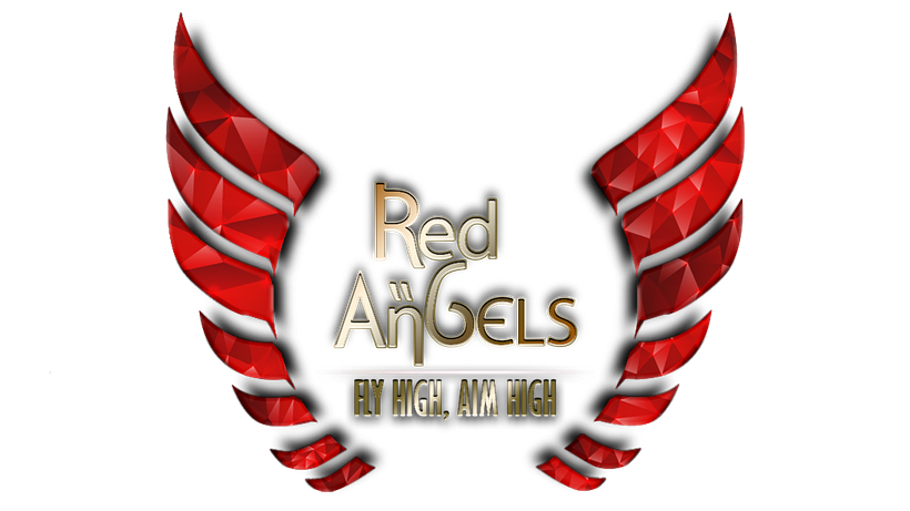 Commissioned Project: Red Angels Agency MICO App  5