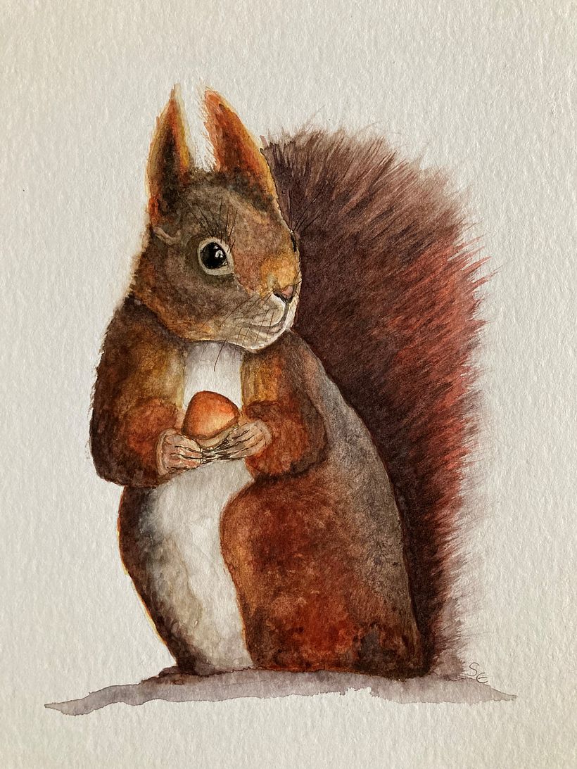 Mein Kursprojekt: Ausdrucksstarke Tierporträts in Aquarell 1