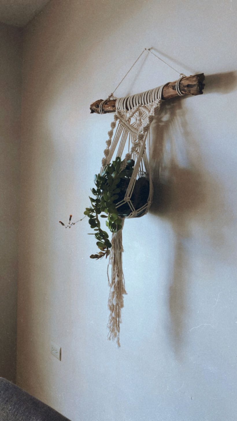 Macetero con tronco natural