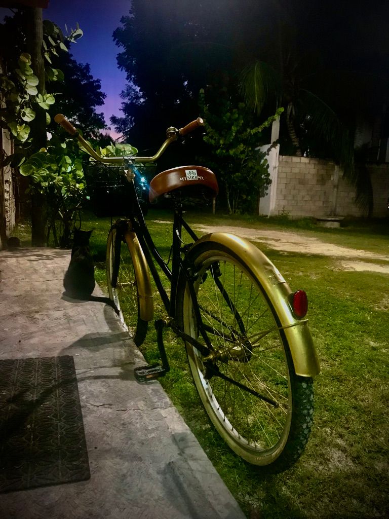 toma de madrugada - editada