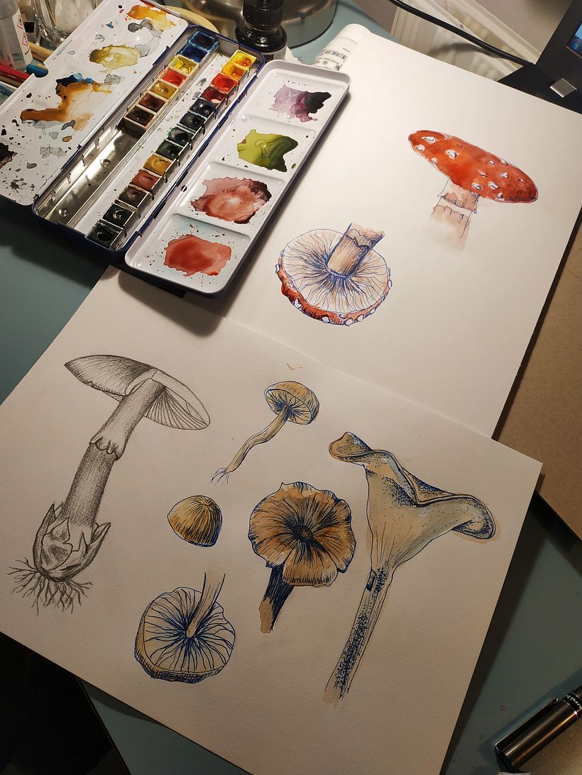 My project in Botanical Watercolor Sketchbook course 2