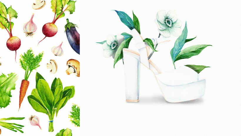Botanical illustrations by Paulina Maciel.