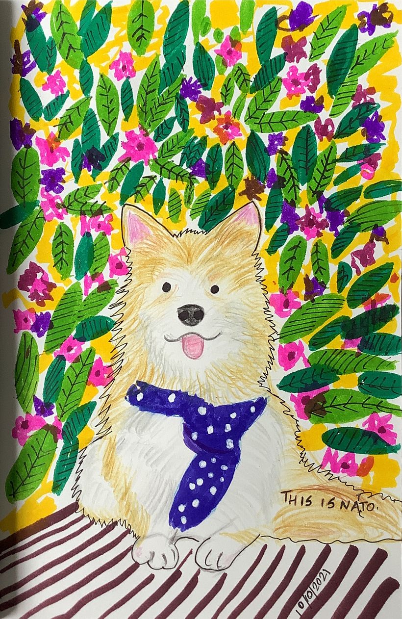 Here I drew my first journal entry using a reference image of this cute dog called Natto.