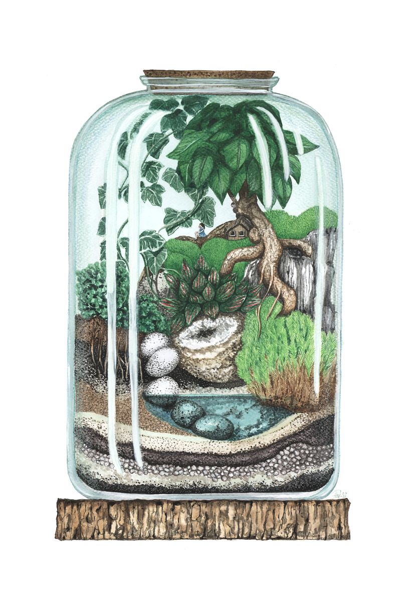 My Botanical Illustration 6