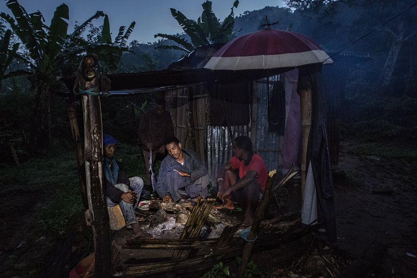 Violence in Madagascar's Vanilla Trade - Photography
