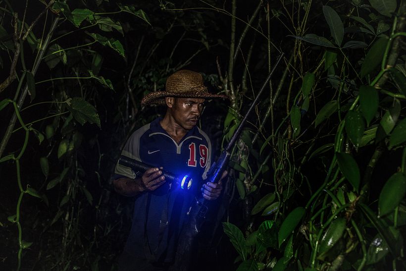 Violence in Madagascar's Vanilla Trade - Photography