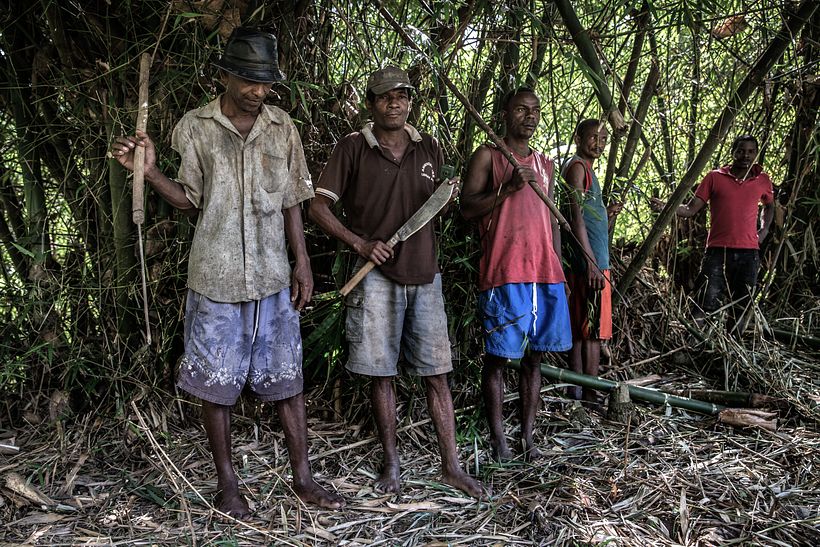 Violence in Madagascar's Vanilla Trade - Photography
