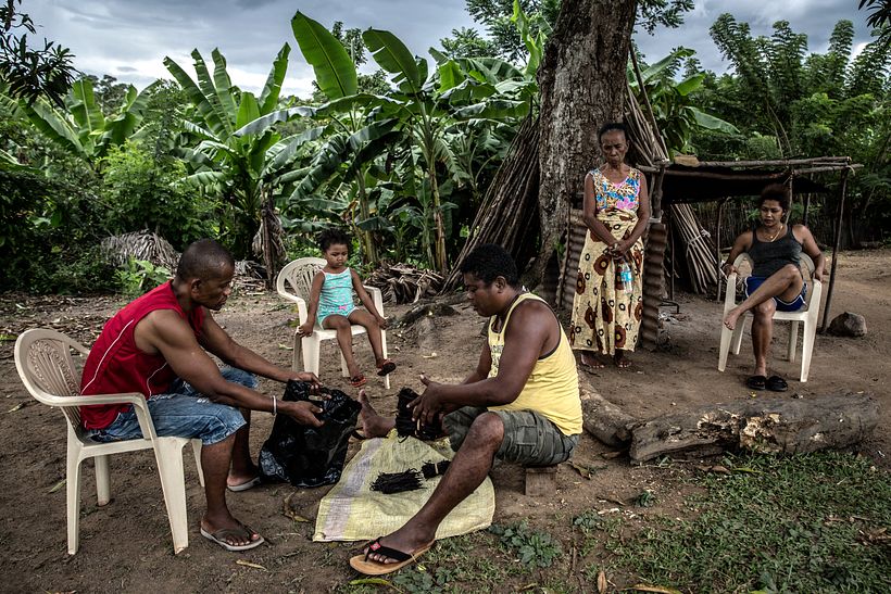 Violence in Madagascar's Vanilla Trade - Photography
