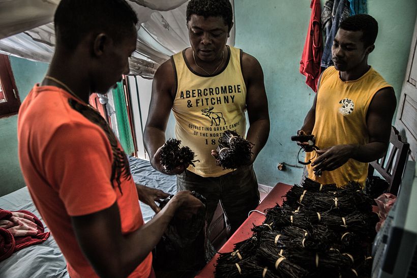 Violence in Madagascar's Vanilla Trade - Photography
