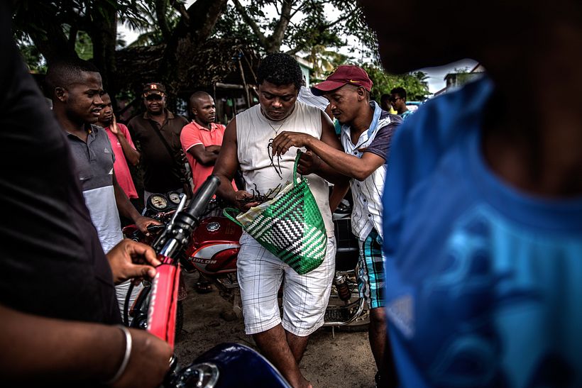 Violence in Madagascar's Vanilla Trade - Photography