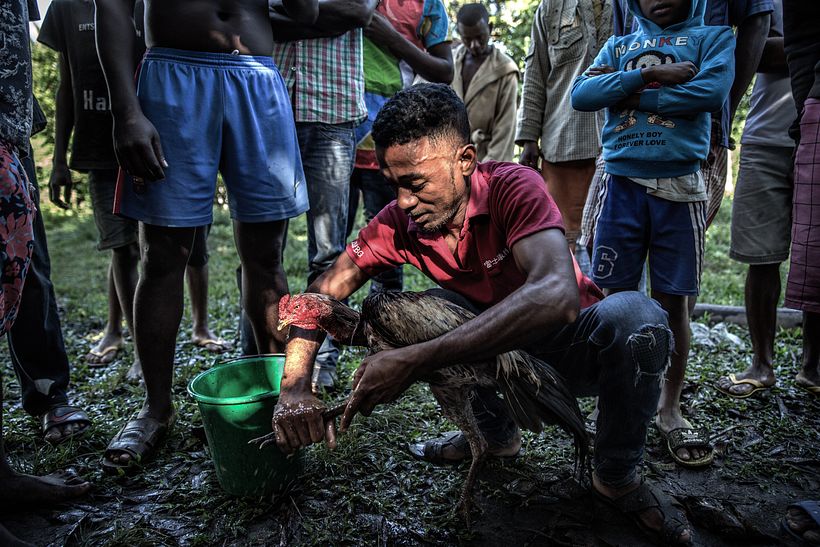 Violence in Madagascar's Vanilla Trade - Photography