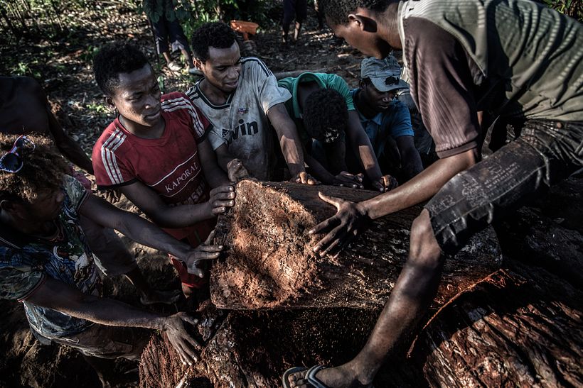Violence in Madagascar's Vanilla Trade - Photography