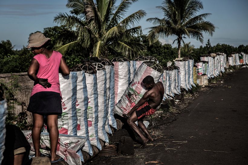 Violence in Madagascar's Vanilla Trade - Photography