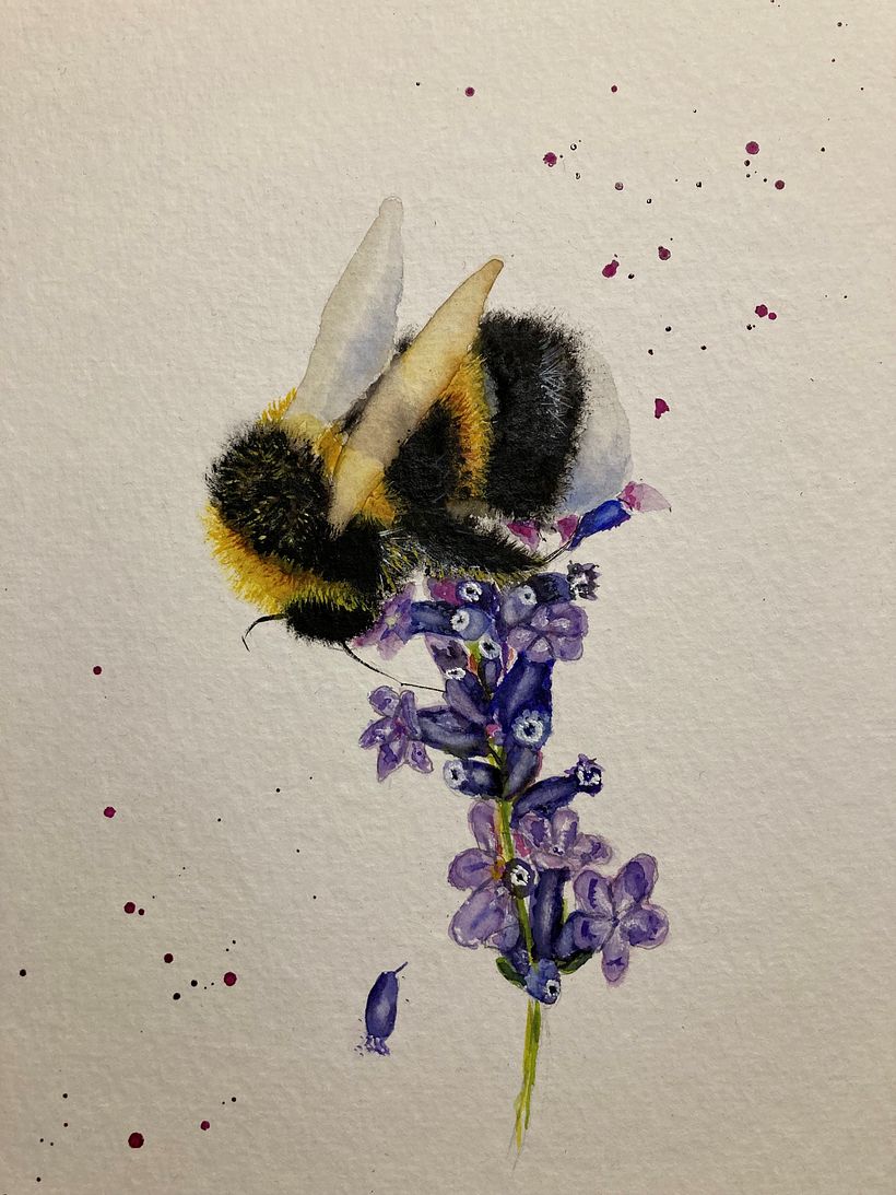 Mein Kursprojekt: Ausdrucksstarke Tierporträts in Aquarell 2