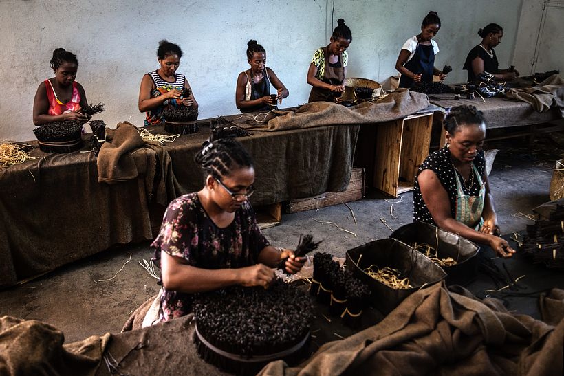 Violence in Madagascar's Vanilla Trade - Photography
