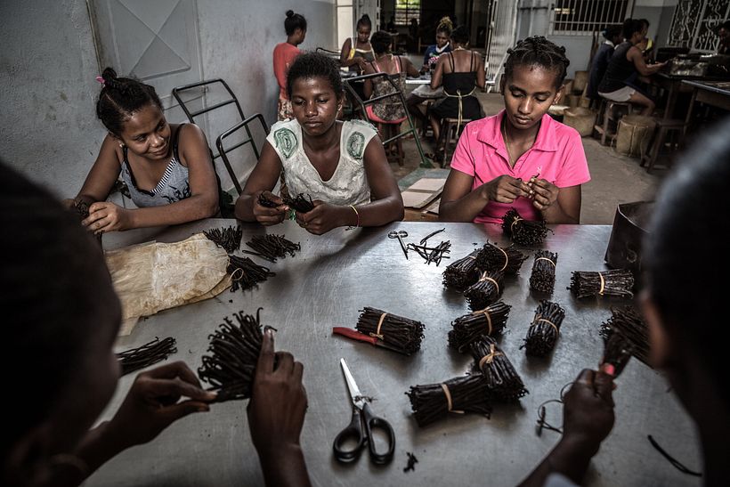 Violence in Madagascar's Vanilla Trade - Photography