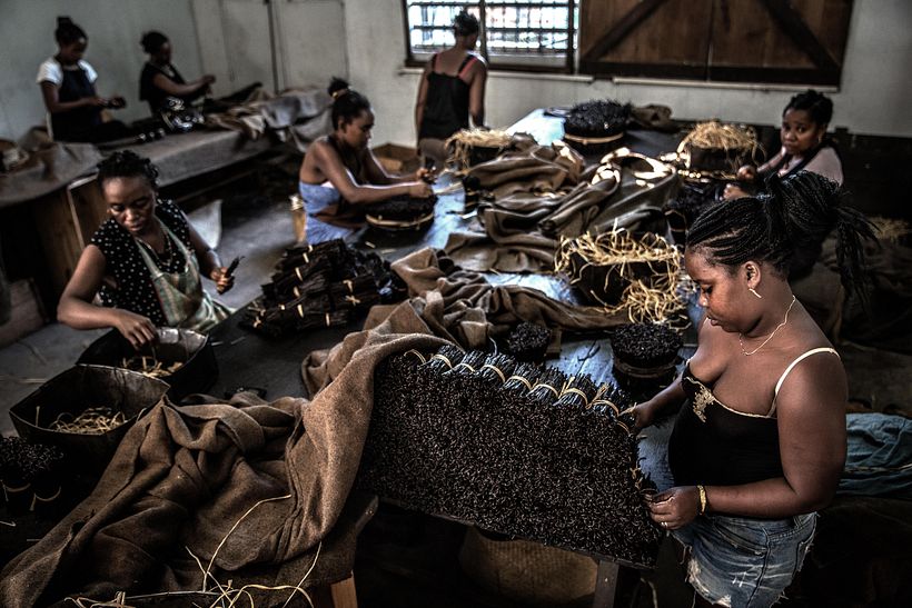 Violence in Madagascar's Vanilla Trade - Photography