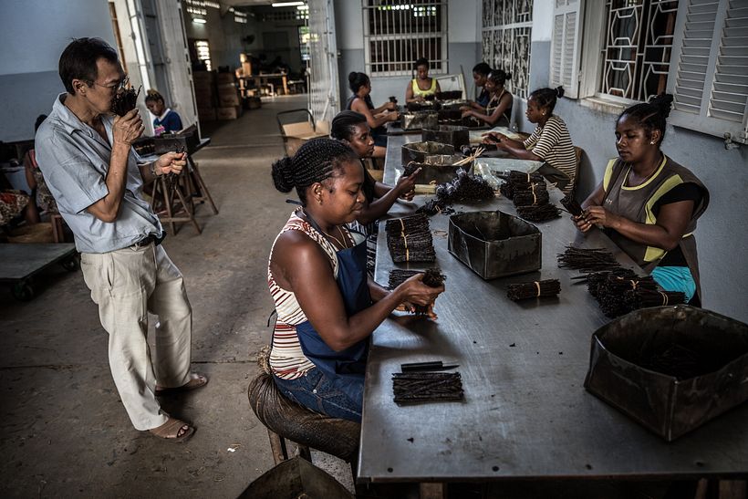Violence in Madagascar's Vanilla Trade - Photography