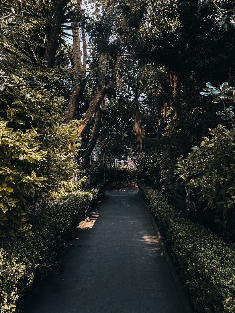 Fotografía de viajes y lifestyle: CDMX 2