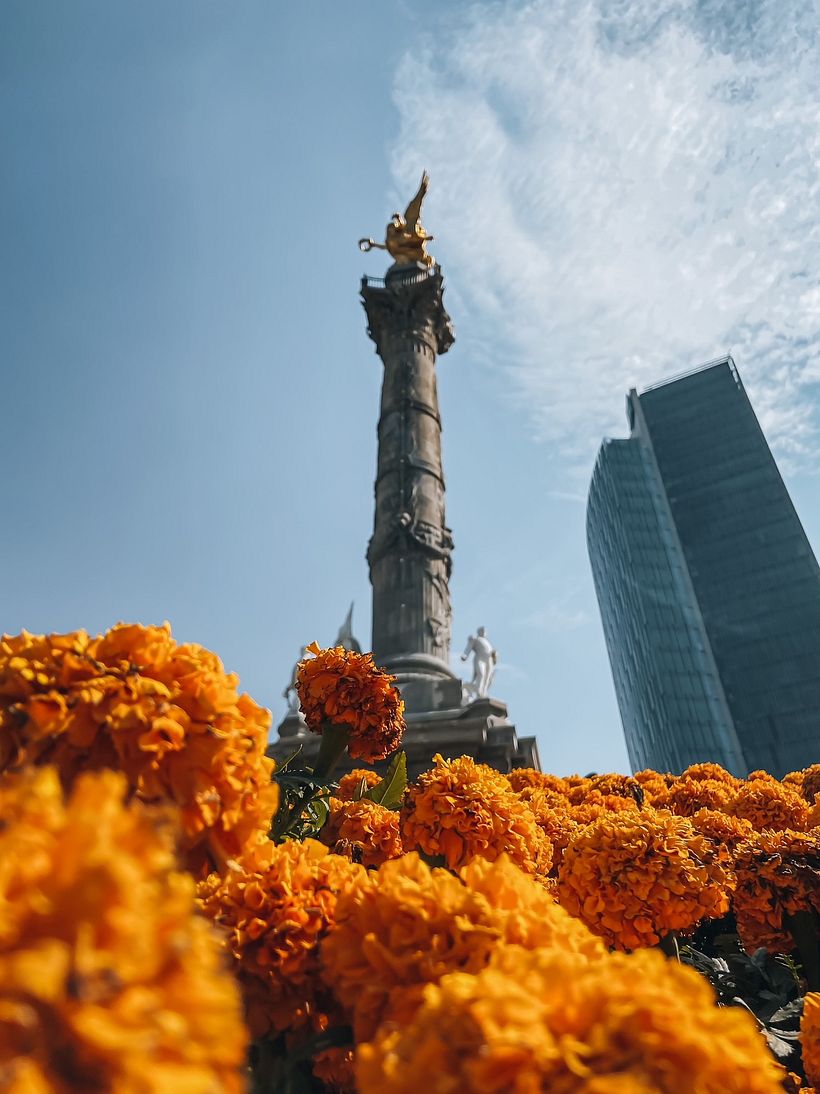 Fotografía de viajes y lifestyle: CDMX 5