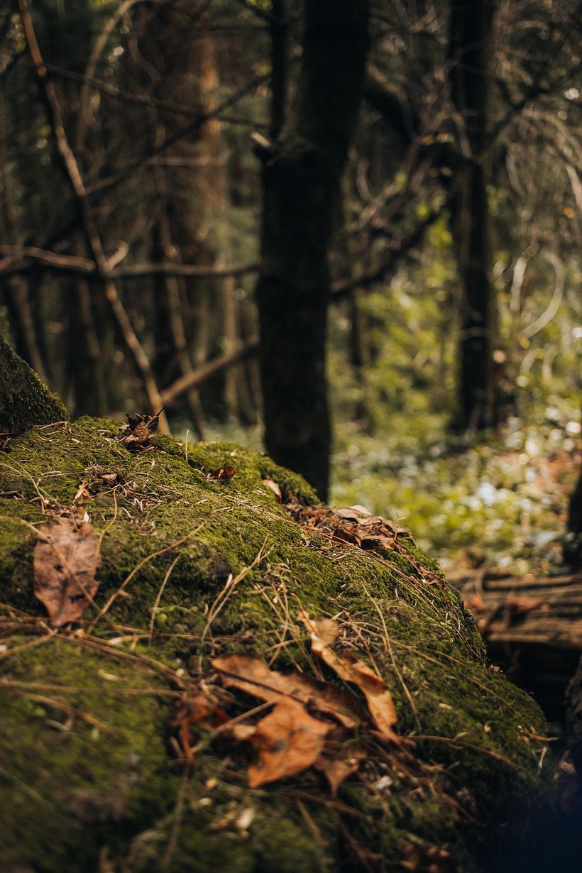 Fotografía de viajes y lifestyle: CDMX 8