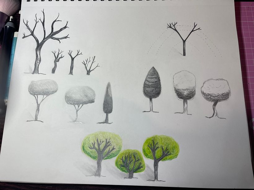 Mi Proyecto del curso: Dibujo para principiantes nivel -1 13