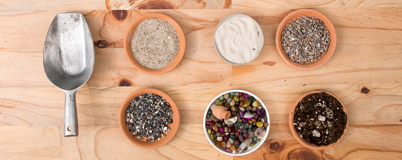 La composición del suelo es especialmente importante en la creación de un terrario.