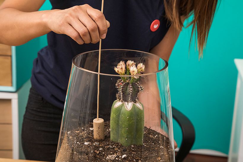 El corcho te servirá para crear un taconeador.