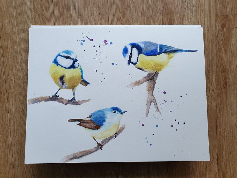 My final project: Trio of birds 3