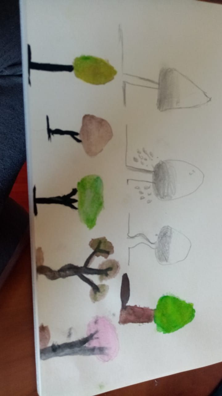 Mi Proyecto del curso: Dibujo para principiantes nivel -1 2