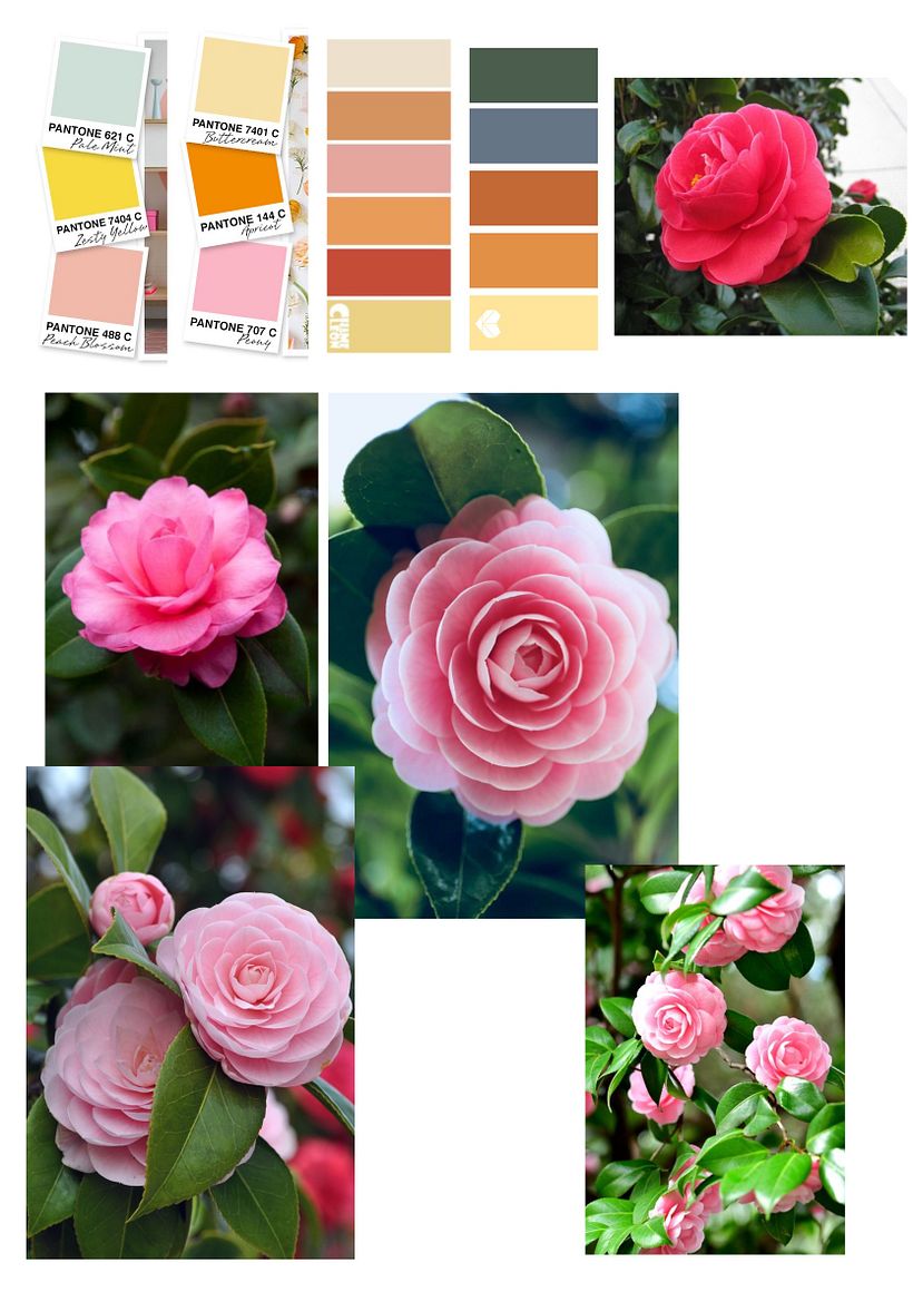 Moodboard