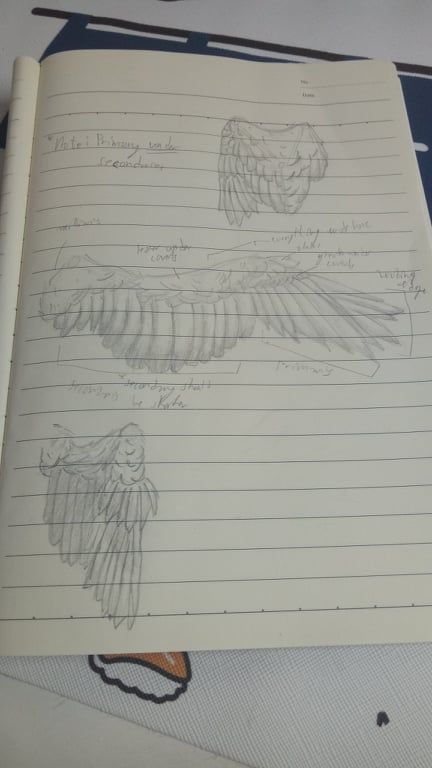 Final Project_BIRD STUDY 2