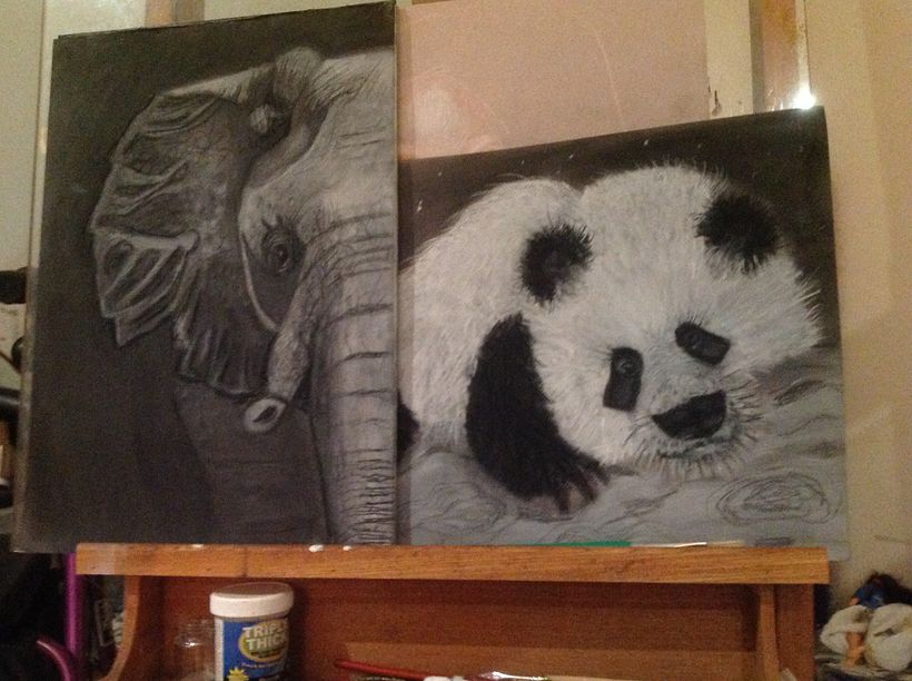 Endangered animals 