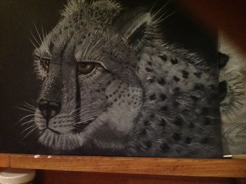 Endangered animals 