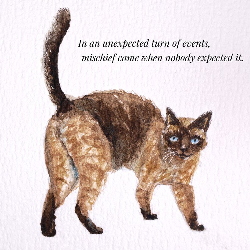 Gatito - Ilustrasi tradisional