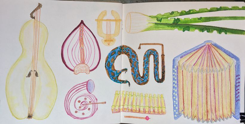 Fictional musical instruments: a double bass pear, a harp onion, a toilet seat lyre, a book accordion and others.