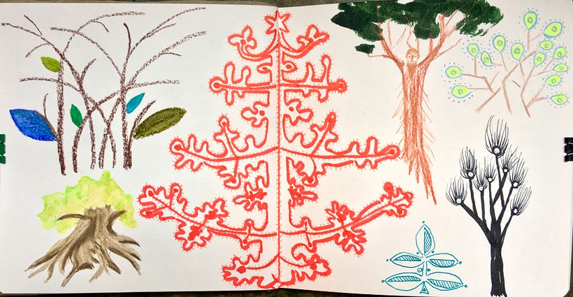 And fantastic trees.