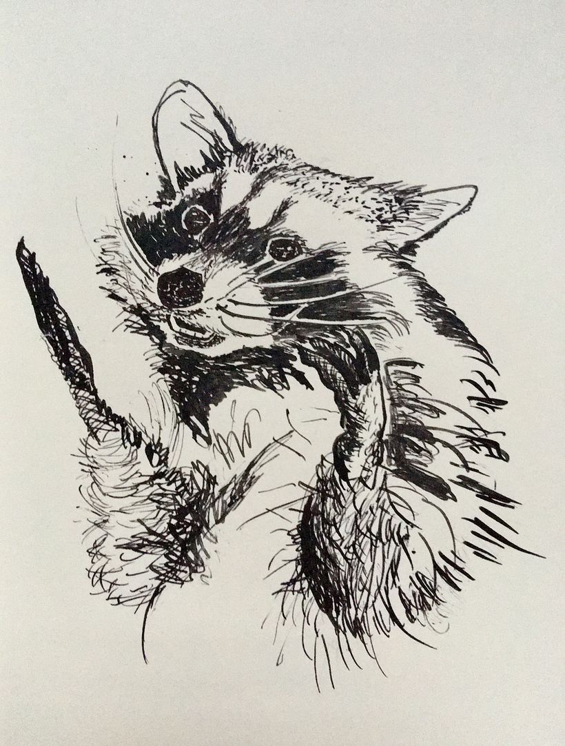 And an itsy-bitsy raccoon.