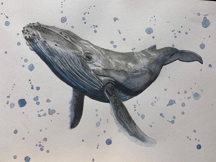 My project in Naturalist Illustration Techniques: Whales in Watercolor course 2