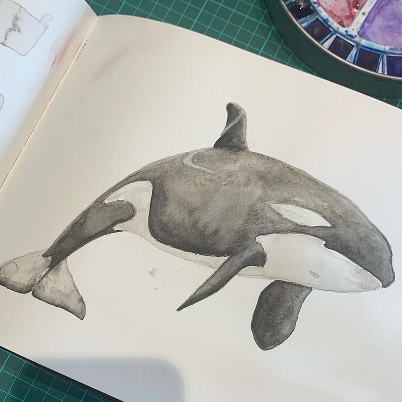 My project in Naturalist Illustration Techniques: Whales in Watercolor course 4