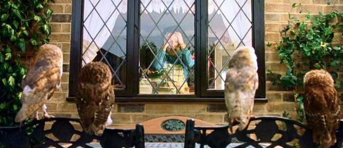 In a scene from the extended cut, a mouse was used to keep the owls' attention. Image: courtesy Warner Bros.