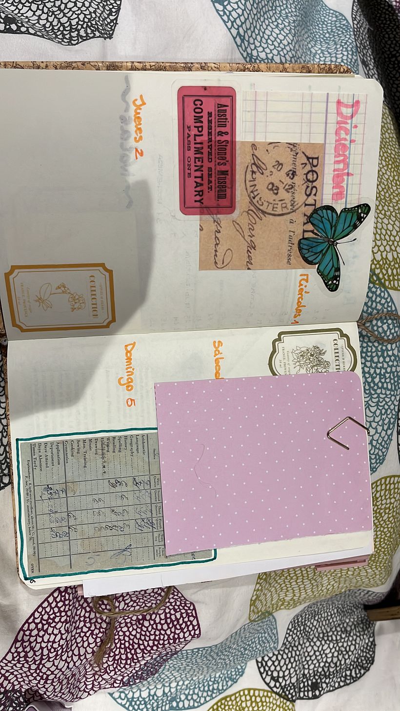 Mi Proyecto del curso:  Bullet journal creativo: planificación y creatividad  9