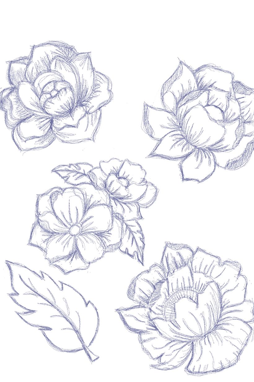 Unit 3: Developing and practising my drawing style