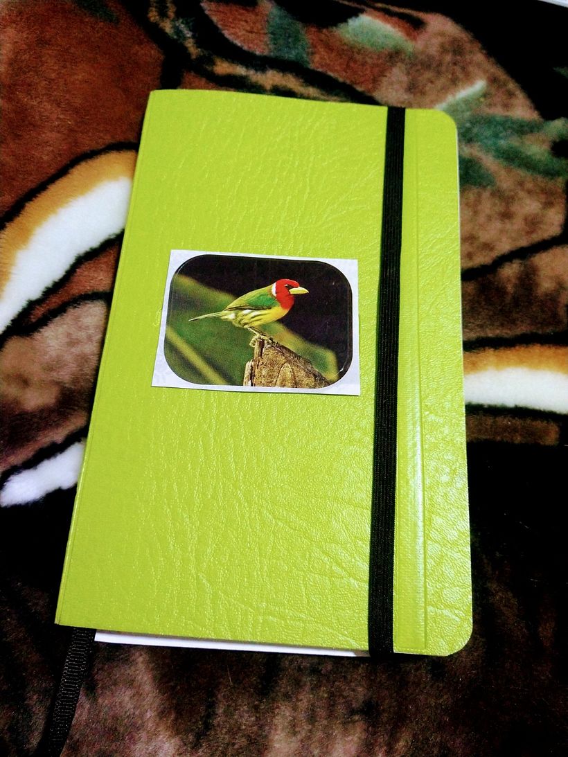 Libreta, pequeña, de cuadrículas y fácil de llevar